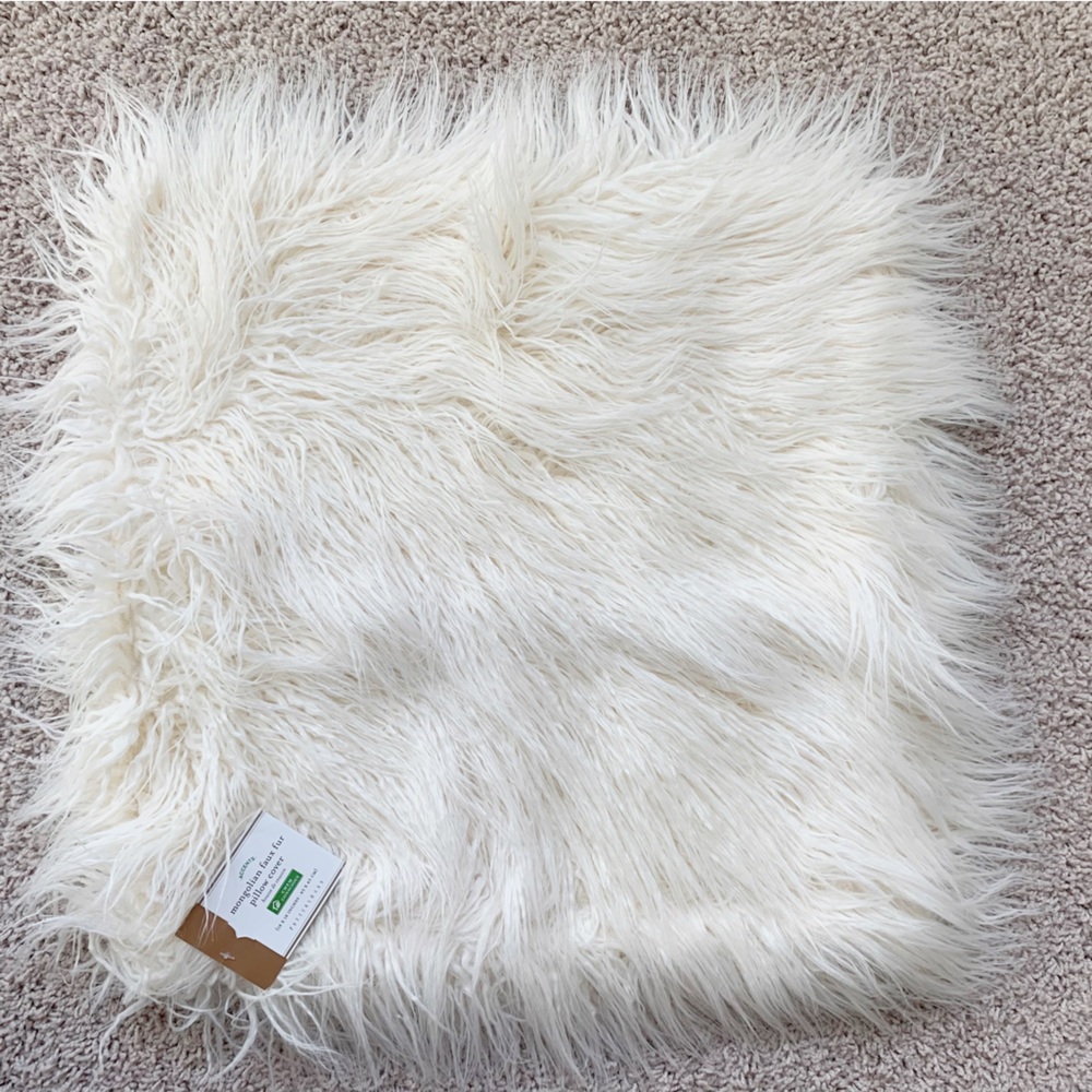 Pottery Barn Mongolian Faux Fur Pillow Cover | 18 x 18 | Zip Closure